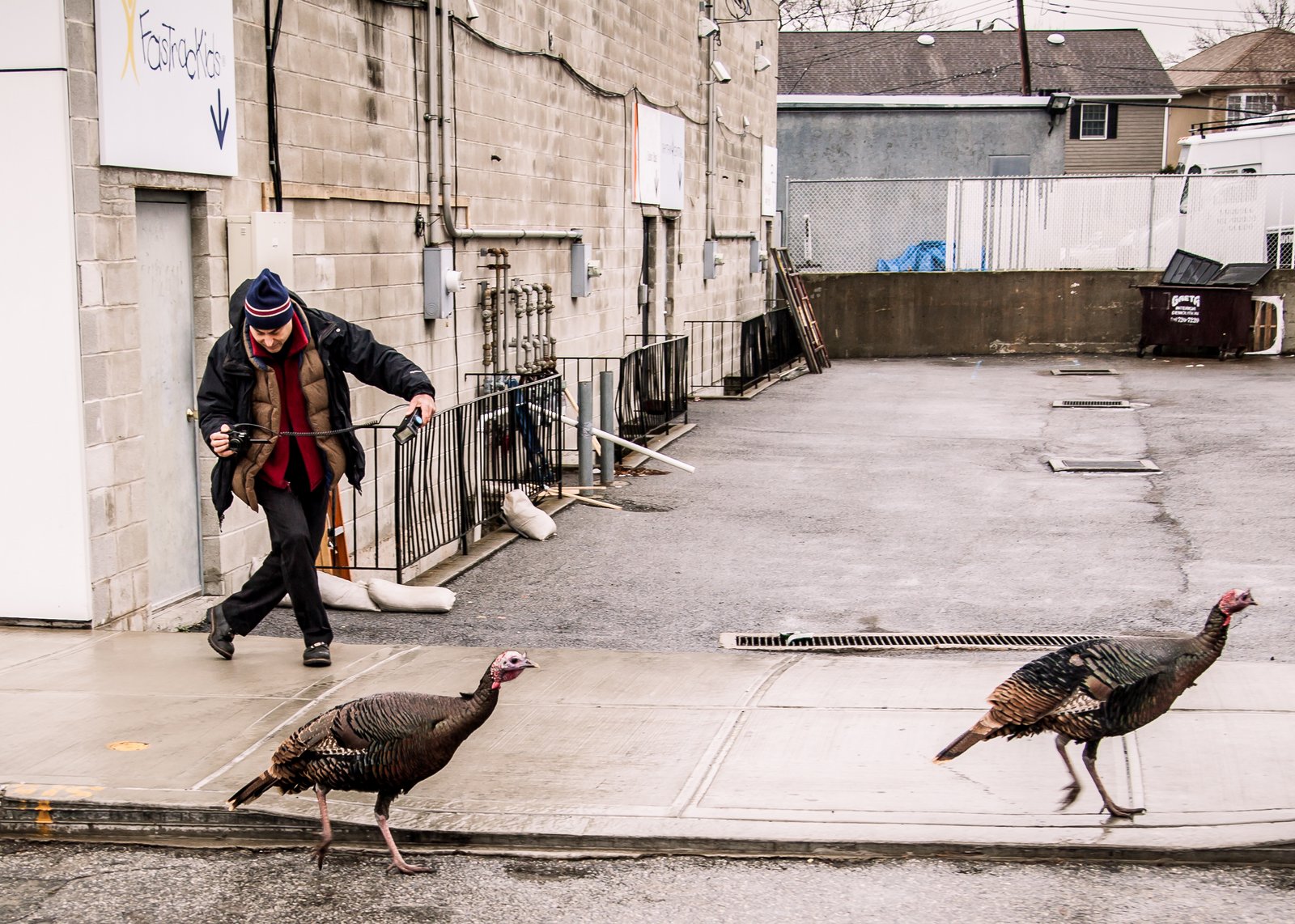 art-of-sandy-mo-steve-beltzer--aka-tango-steve-fastrackids-staten island 2.jpg